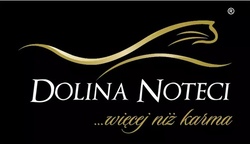 Dolina Noteci